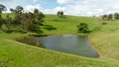 Farm Tender - NSW - Guyra - 2365 - "Waterford" - Outstanding Grazing with Unique Passive Income  (Image 2)