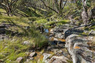 Farm For Sale - NSW - Mudgee - 2850 - Mudgee Rural 170 HA of Land with Dweilling Entitlement.  (Image 2)