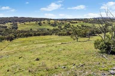 Farm For Sale - NSW - Mudgee - 2850 - Mudgee Rural 170 HA of Land with Dweilling Entitlement.  (Image 2)