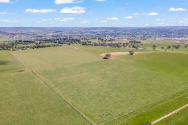 Farm Auction - NSW - Kelso - 2795 - "Pine Lea" - The Perfect Blend of Rural Tranquillity and Modern Convenience  (Image 2)