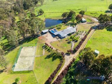 Farm For Sale - VIC - Whiteheads Creek - 3660 - "Cherry Tree Range" - A Versatile 128-Acre Country Retreat  (Image 2)