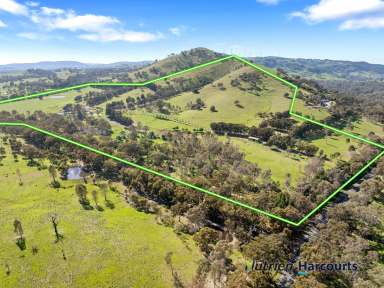 Farm For Sale - VIC - Whiteheads Creek - 3660 - "Cherry Tree Range" - A Versatile 128-Acre Country Retreat  (Image 2)