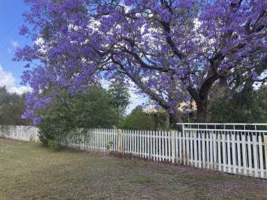 Farm For Sale - QLD - Yalangur - 4352 - Home to Senepol Stud Herd - 15 minutes to Toowoomba - 200* Acres  (Image 2)