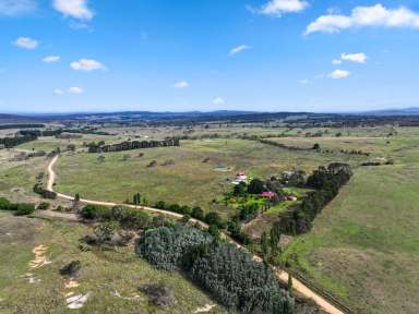 Farm For Sale - NSW - Boro - 2622 - 'FAIRHOLME'  (Image 2)