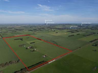 Farm For Sale - VIC - Gnotuk - 3260 - Productive Land - Excellent Location  (Image 2)