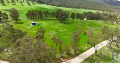 Farm For Sale - VIC - Dargo - 3862 - Destination Dargo  (Image 2)