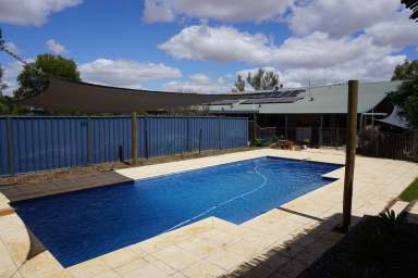 Farm For Sale - WA - Coorow - 6515 - "Wheatbelt Oasis"  (Image 2)