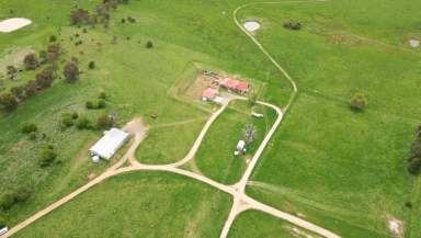 Farm Auction - NSW - Millthorpe - 2798 - “Woodlawn” - 132.4 hectares - 327.2 acres*  (Image 2)