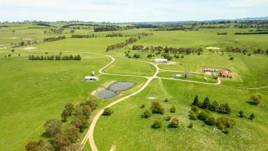 Farm For Sale - NSW - Millthorpe - 2798 - “Woodlawn” - 132.4 hectares - 327.2 acres*  (Image 2)