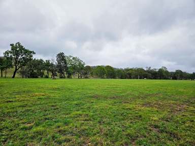 Farm For Sale - QLD - Emu Creek - 4355 - Open cleared 9.56acre rural block, creek and waterhole  (Image 2)