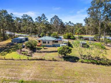 Farm Auction - QLD - Tamaree - 4570 - "AUCTION " 6.75 ACRES IN TAMAREE  (Image 2)