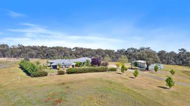 Farm For Sale - NSW - O'Connell - 2795 - “Mill Run” - Stunning Rural Lifestyle Property – 19.78* Arable Acres in O’Connell  (Image 2)