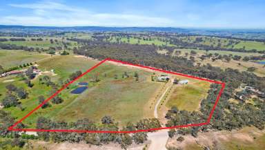 Farm Auction - NSW - O'Connell - 2795 - “Mill Run” - Stunning Rural Lifestyle Property – 18.8* Arable Acres in O’Connell  (Image 2)