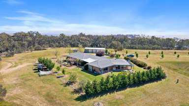 Farm For Sale - NSW - O'Connell - 2795 - “Mill Run” - Stunning Rural Lifestyle Property – 19.78* Arable Acres in O’Connell  (Image 2)