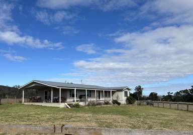 Farm For Sale - NSW - Leadville - 2844 - Woodlands - Superb Lifestyle Property  (Image 2)