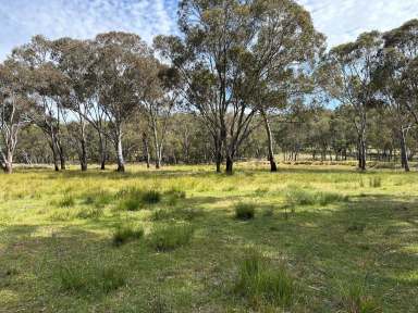 Farm For Sale - NSW - Coolah - 2843 - Offers Invited - Lovely Hobby Farm  (Image 2)