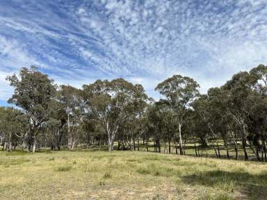 Farm For Sale - NSW - Coolah - 2843 - "Wombat Hollow", Ideal Hobby Farm  (Image 2)