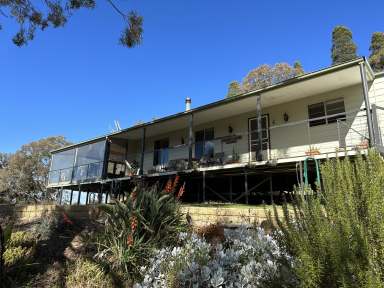 Farm For Sale - NSW - Coolah - 2843 - Offers Invited - Lovely Hobby Farm  (Image 2)