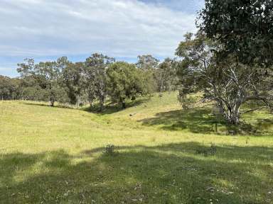 Farm For Sale - NSW - Coolah - 2843 - "Wombat Hollow", Ideal Hobby Farm  (Image 2)