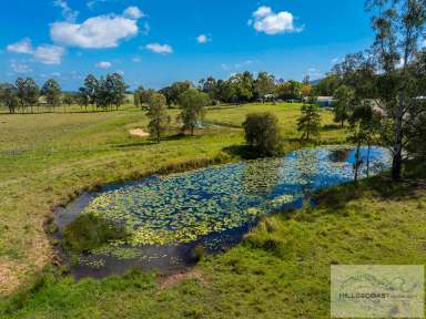 Farm For Sale - NSW - Backmede - 2470 - Charming 7.4-Acre Hobby Farm and Family Home  (Image 2)