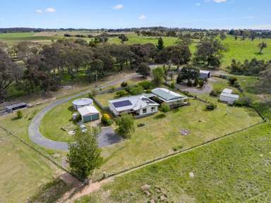 Farm For Sale - NSW - Goulburn - 2580 - Peppermint Hill  (Image 2)