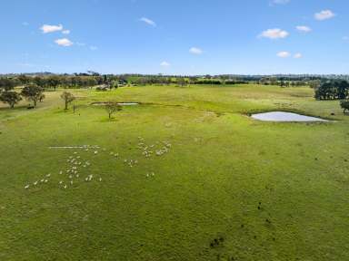 Farm For Sale - NSW - Goulburn - 2580 - Peppermint Hill  (Image 2)