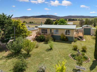 Farm For Sale - NSW - Goulburn - 2580 - Cute Farmstead  (Image 2)