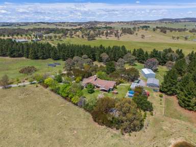 Farm Auction - NSW - Goulburn - 2580 - SWEET LIFESTYLE & LOCATION  (Image 2)