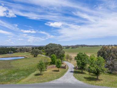 Farm Auction - NSW - Goulburn - 2580 - SWEET LIFESTYLE & LOCATION  (Image 2)