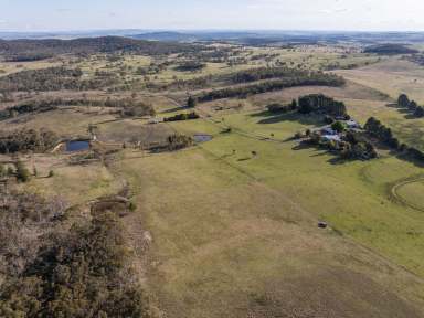 Farm Auction - NSW - Goulburn - 2580 - "Lynwood"  (Image 2)