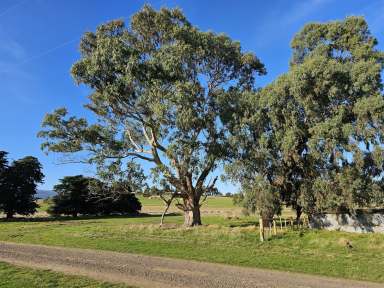 Farm For Sale - VIC - Eden Park - 3757 - EXPRESSIONS OF INTEREST ARE INVITED FOR THIS BEAUTIFUL RURAL LIFESTYLE PROPERTY IN EDEN PARK!  (Image 2)