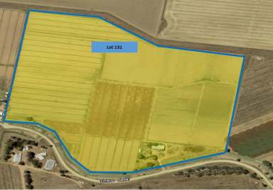 Farm For Sale - NSW - Coleambally - 2707 - Coleambally farming opportunity  (Image 2)