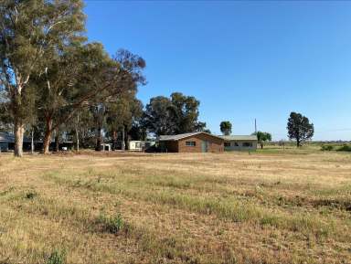 Farm For Sale - NSW - Coleambally - 2707 - Coleambally farming opportunity  (Image 2)