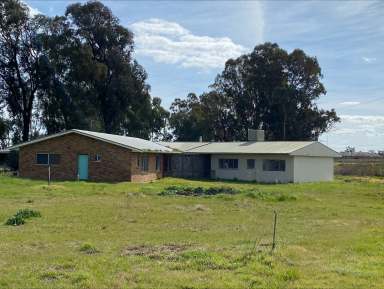 Farm For Sale - NSW - Coleambally - 2707 - Coleambally farming opportunity  (Image 2)