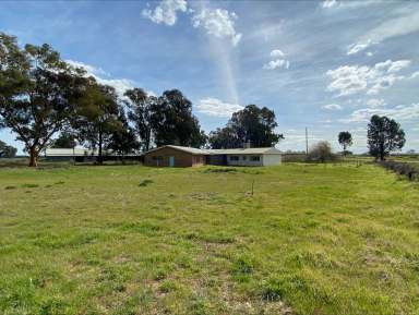 Farm For Sale - NSW - Coleambally - 2707 - Coleambally farming opportunity  (Image 2)