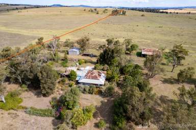 Farm Auction - QLD - Tannymorel - 4372 - “KEABLEDENE” PRIME SCRUB SOIL FARMING COUNTRY IN THE FAMED TANNYMOREL, MT COLLIERY DISTRICT.  (Image 2)