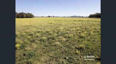 Farm Expressions of Interest - NSW - Gunnedah - 2380 - BEST OF BOTH WORLDS  (Image 2)