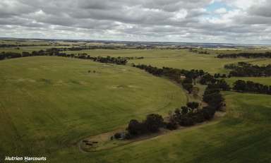 Farm For Sale - WA - Nyabing - 6341 - Wallaby Downs  (Image 2)