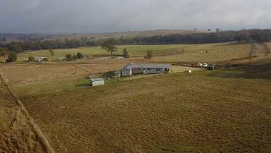 Farm For Sale - NSW - Coolah - 2843 - Woodlands - Superb Lifestyle Property  (Image 2)