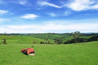 Farm For Sale - VIC - Seaview - 3821 - Picturesque Grazing Property with Current Planning Permit  (Image 2)