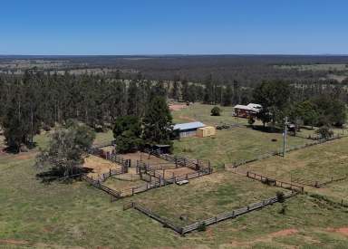 Farm For Sale - QLD - Dangore - 4610 - Quality Grazing Country - Just Add Improved Pastures  (Image 2)