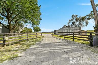 Farm For Sale - VIC - Nyora - 3987 - BOASTING VIEWS OF THE VALLEY & WESTERNPORT BAY.  (Image 2)