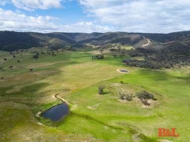 Farm For Sale - NSW - Gowan - 2795 - "Bullen Basin" Bathurst Region 895.8 Ha - 2213 Ac  (Image 2)