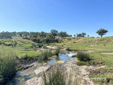 Farm For Sale - NSW - Warialda - 2402 - FAIRFIELD  (Image 2)