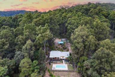 Farm For Sale - QLD - Federal - 4568 - Hinterland Home, Spectacular Views  (Image 2)