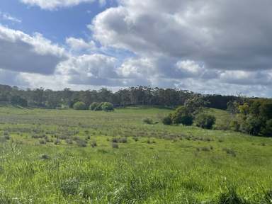 Farm For Sale - VIC - Kennedys Creek - 3239 - Dairy Out Paddock  (Image 2)