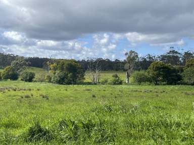 Farm For Sale - VIC - Kennedys Creek - 3239 - Dairy Out Paddock  (Image 2)