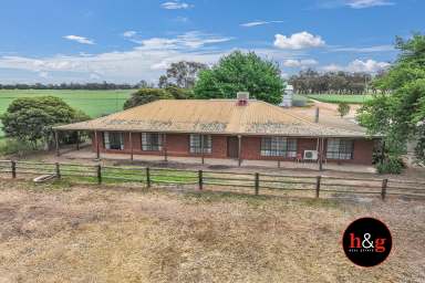 Farm For Sale - VIC - Kyabram South - 3620 - Two For The Price Of One  (Image 2)