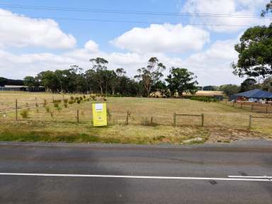 Farm For Sale - VIC - Timboon - 3268 - Premium Lifestyle Allotment - Timboon  (Image 2)