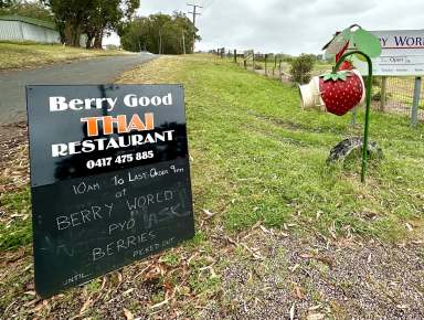 Farm For Sale - VIC - Timboon - 3268 - Premium Lifestyle Allotment - Timboon  (Image 2)